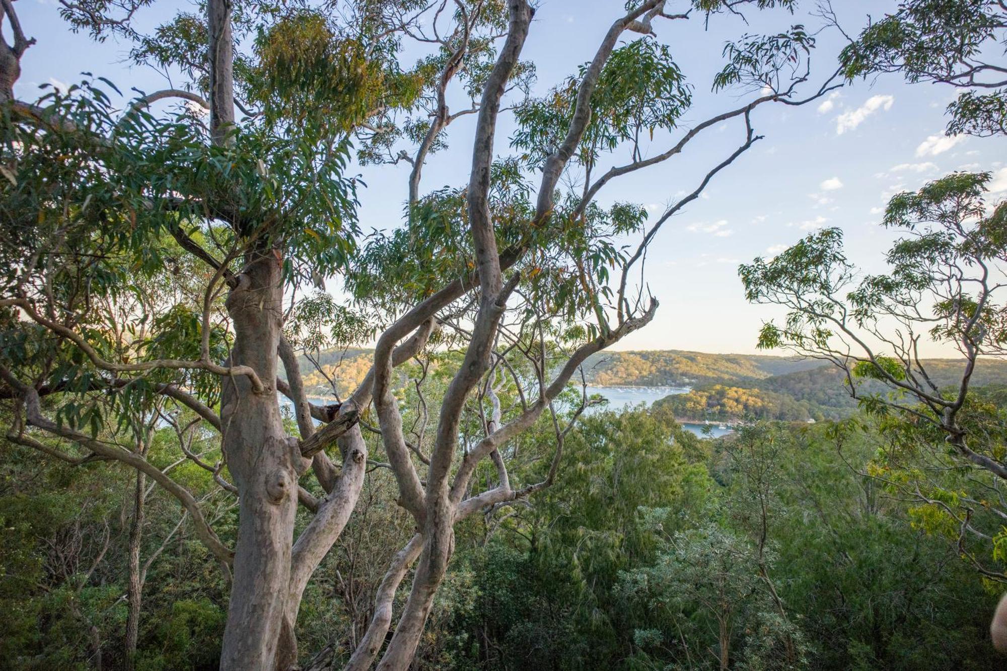 Hostel Yha Pittwater Eco, Sydney Church Point Zewnętrze zdjęcie